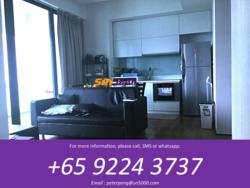 Illuminaire On Devonshire (D9), Apartment #95813152